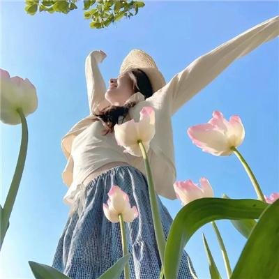 乱世花道 在线观看